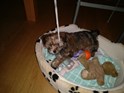 oneplus-3_image-camera_sample_lowlight (9).jpg